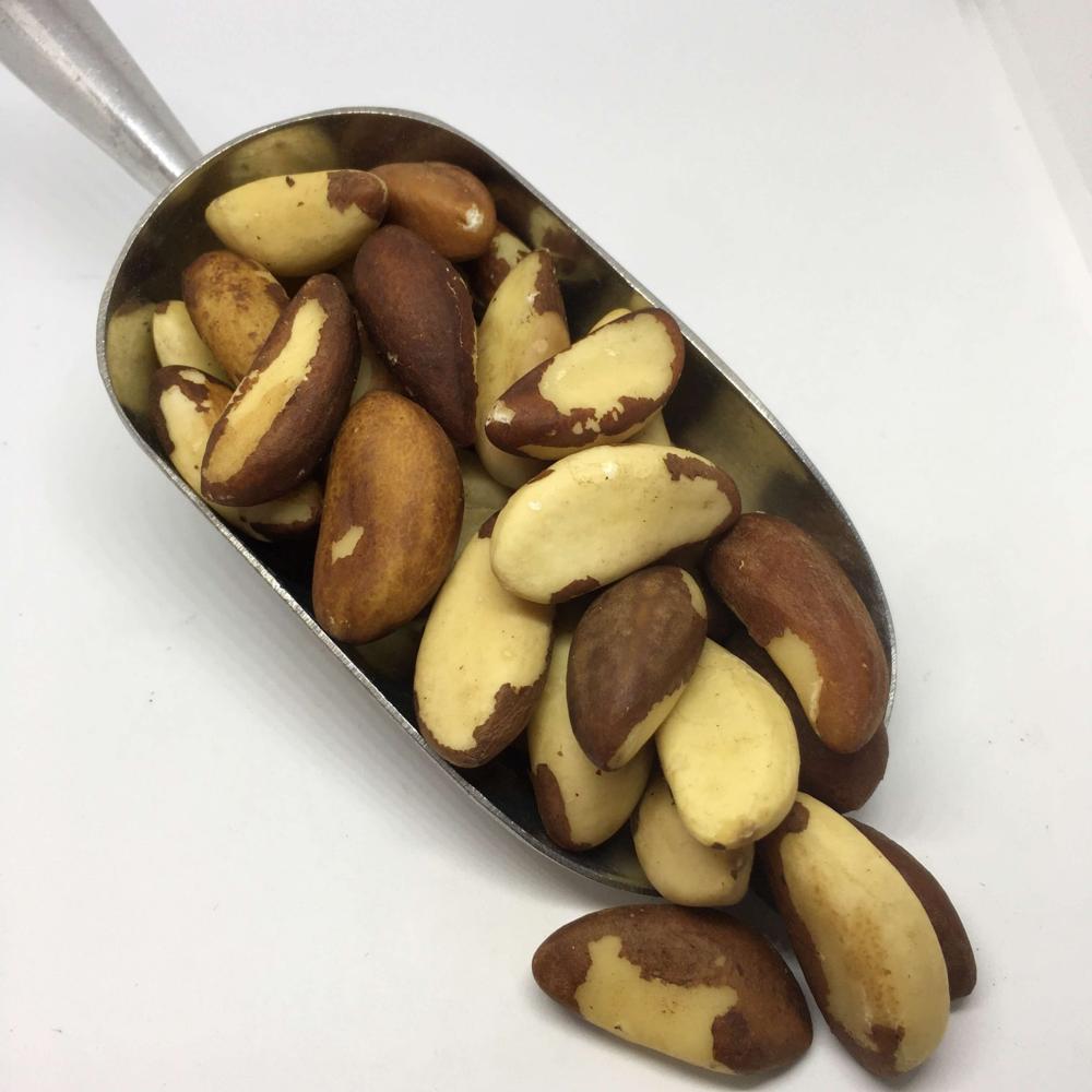 Wholesale Top Quality Brazil Nuts In Cheap Price100% cheap price Brazil Nuts / Raw brazil nuts