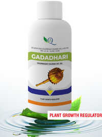 Gadadhari Plant Growth Regulator