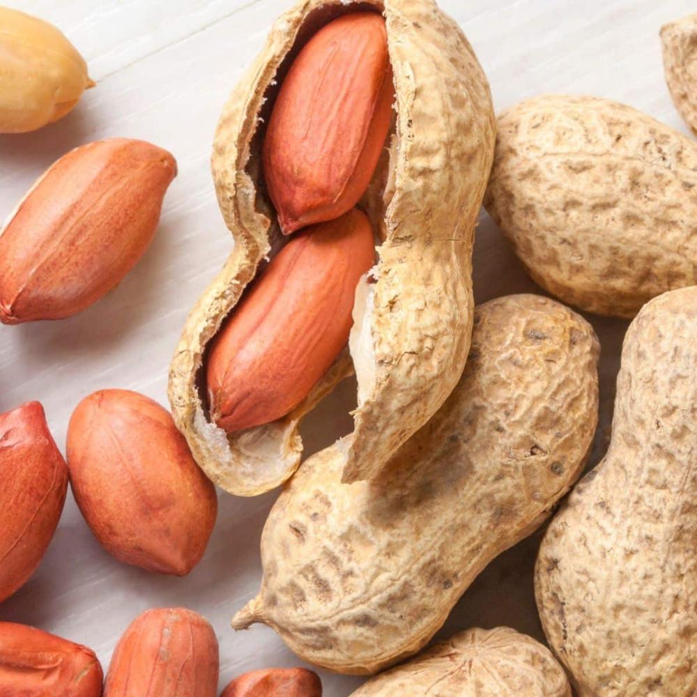 Wholesale Raw Peanuts High Quality Natural Bold Blanched Peanut Kernel For Sale