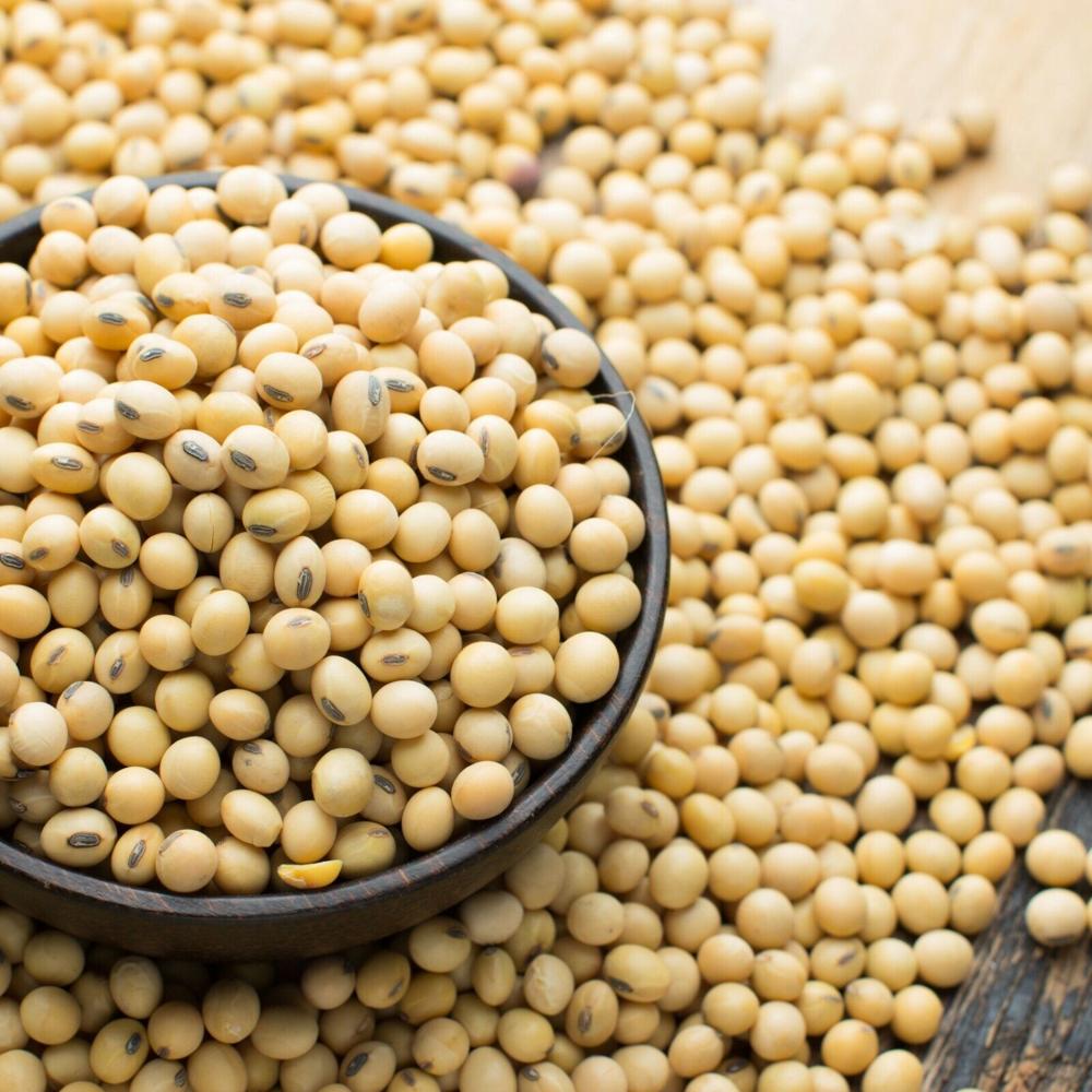 Good Quality Factory Wholesale Bulk Pure Natural Dried Soybeans Nutrient Raw Soybeans