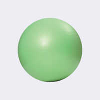 Anti-Burst Balance Gym Ball with 2kg sand