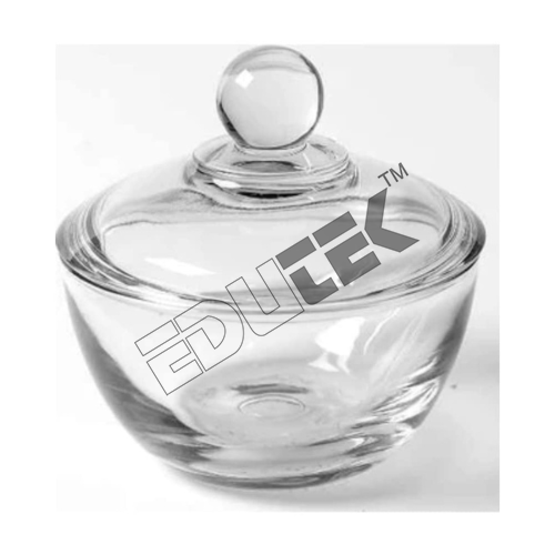 Seed Germinator Bowl