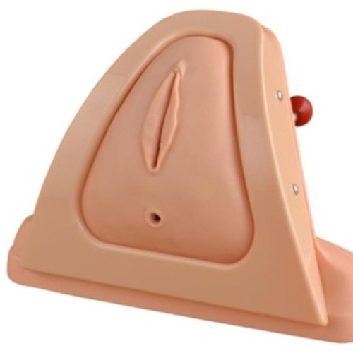Cut perineum model