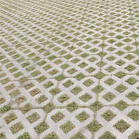 Grass Paver Blocks