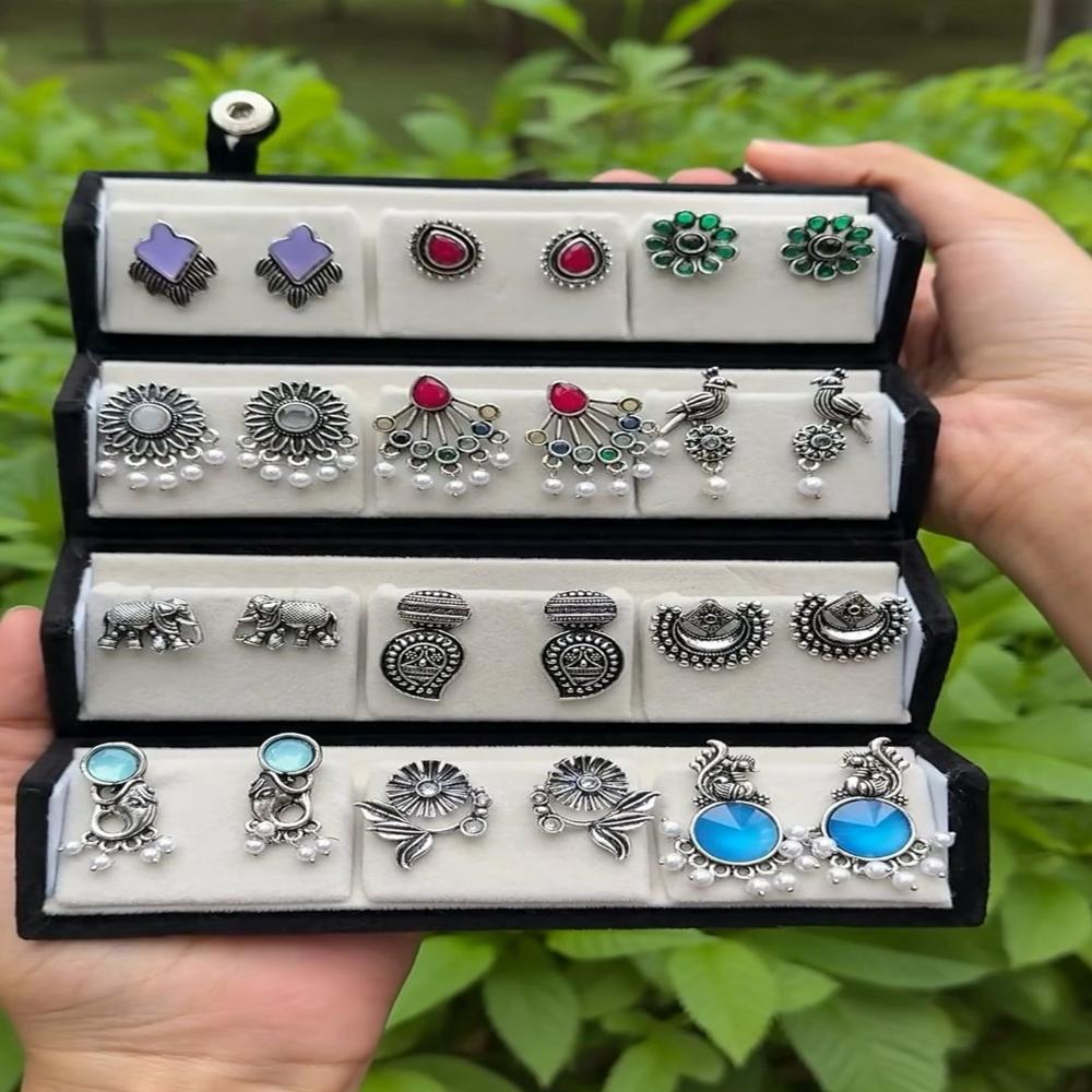 12 pair earring folder