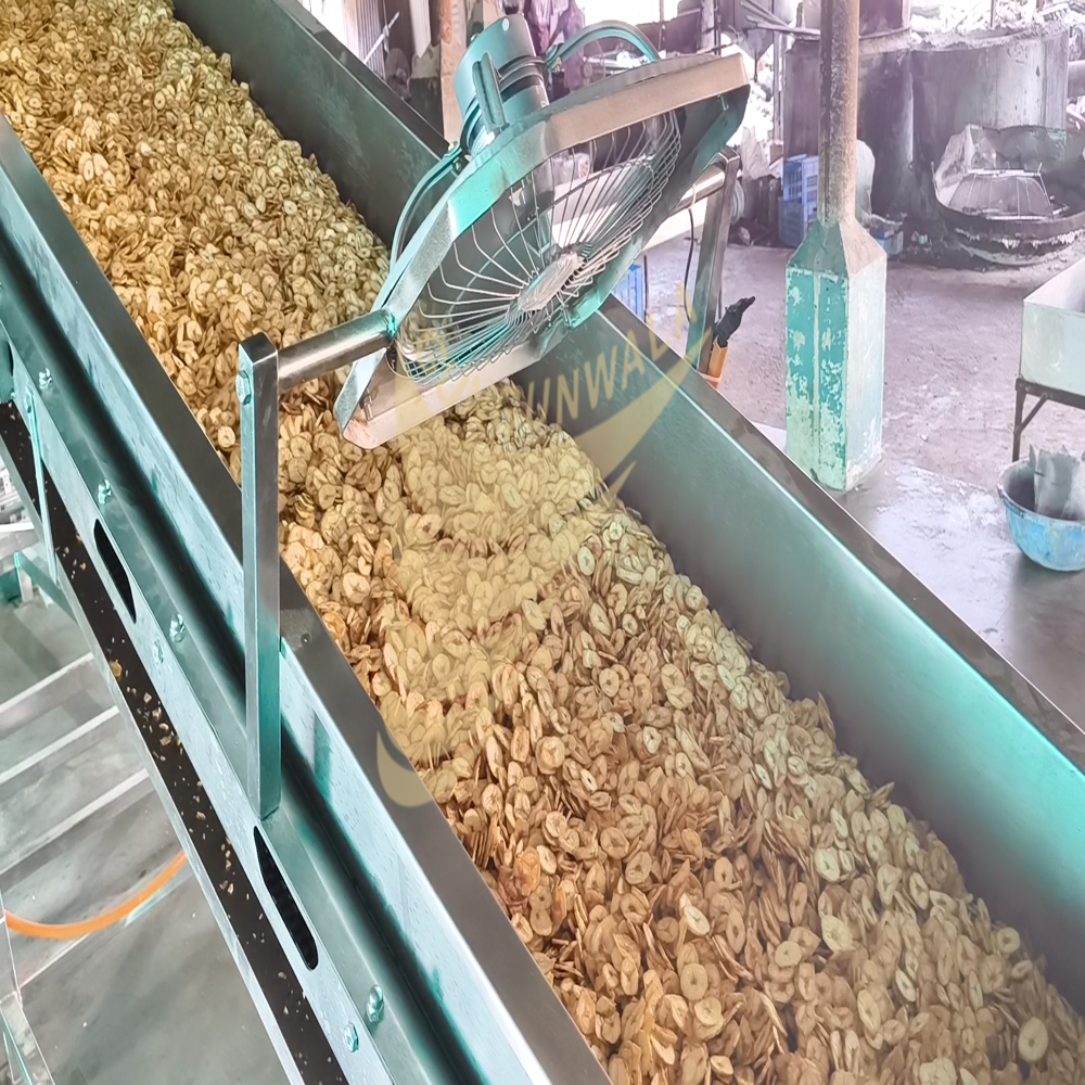 Fully Automatic Banana Chips Line