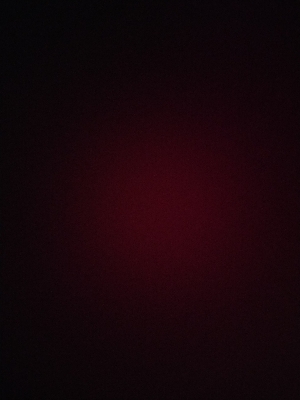 Uhmwpe Profile Chain Guide - Color: All