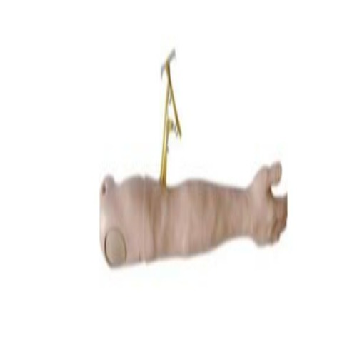 Intravenous training hand