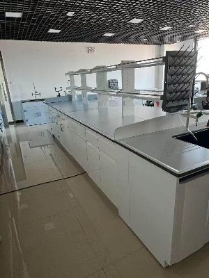 Laboratory Furniture - Finish: Painted