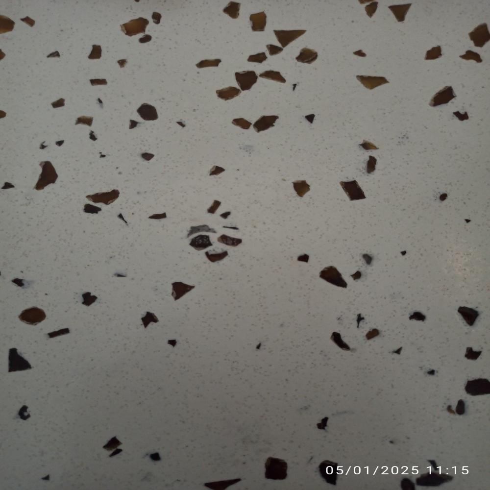 Seamless Terrazzo Flooring Service