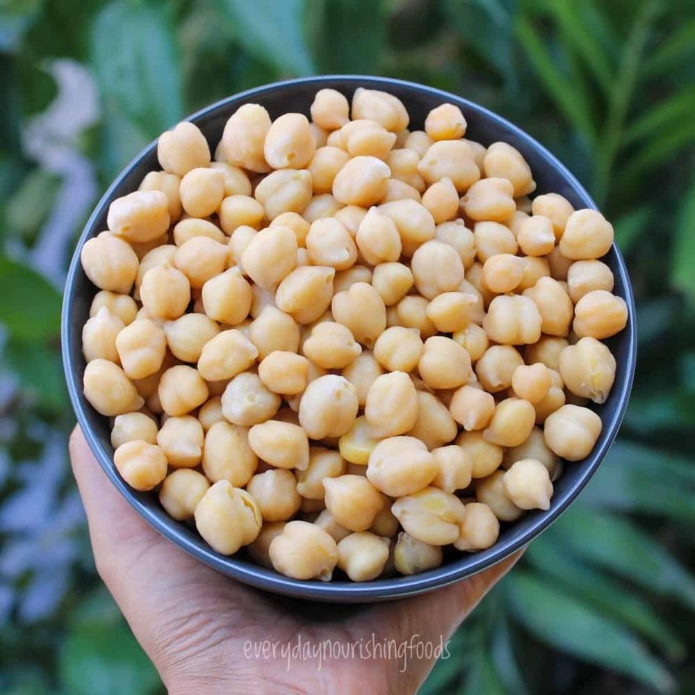 Bulk Supply of Organic Chickpeas Wholesale for Food Manufacturers Non-GMO Kabuli Chana