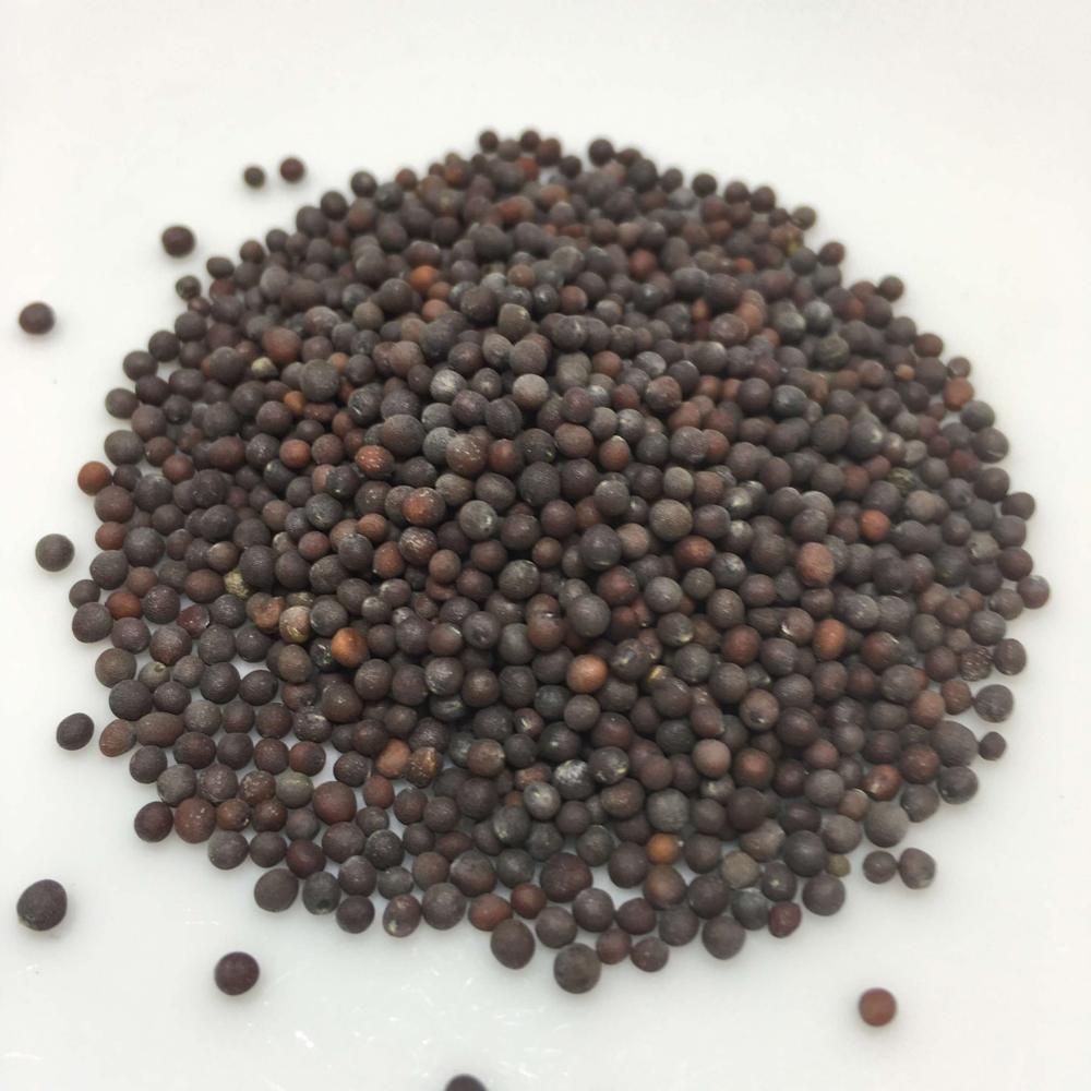 High Quality Yellow Mustard Seeds Freshly Dried And Raw Single Herb Factory Price Wholesale - Color: Natural