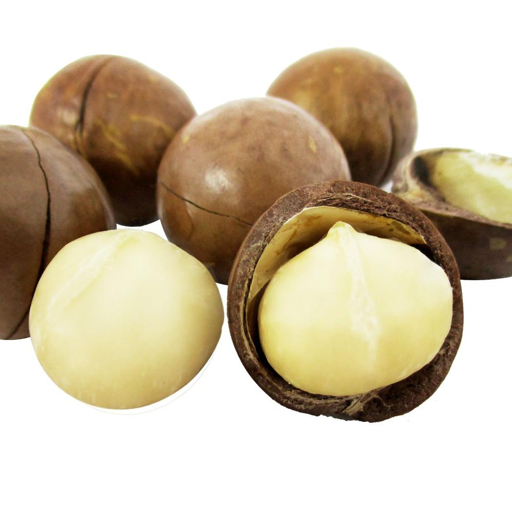 Roasted Dried Macadamia Nuts in Shell Blanched 100% Fresh Grade a OEM/ODM Custom Label 