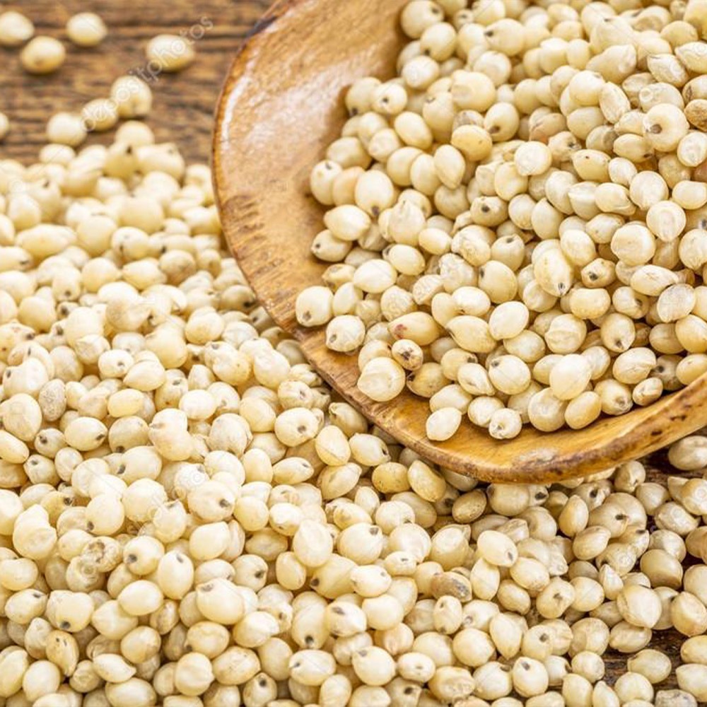 Natural Organic Pearl Millet Bajra Whole Grain Dried Product Rich In Fiber Protein And Nutrition For Food