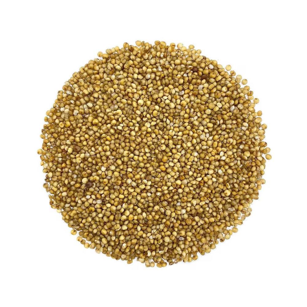 Natural Organic Pearl Millet Bajra Whole Grain Dried Product Rich In Fiber Protein And Nutrition For Food