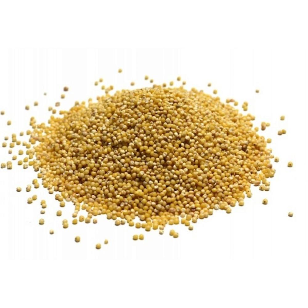 Natural Organic Pearl Millet Bajra Whole Grain Dried Product Rich In Fiber Protein And Nutrition For Food