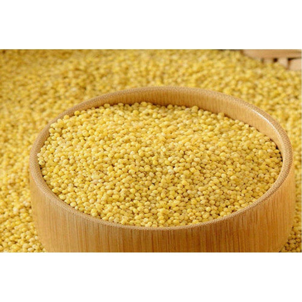Premium Quality Dried Pearl Millet AD Processed Bulk Supply Organic Grains for Export 