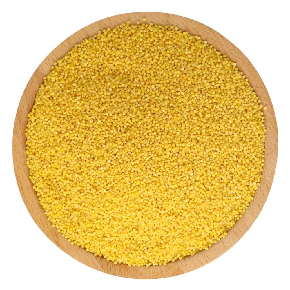 Premium Quality Dried Pearl Millet AD Processed Bulk Supply Organic Grains for Export 