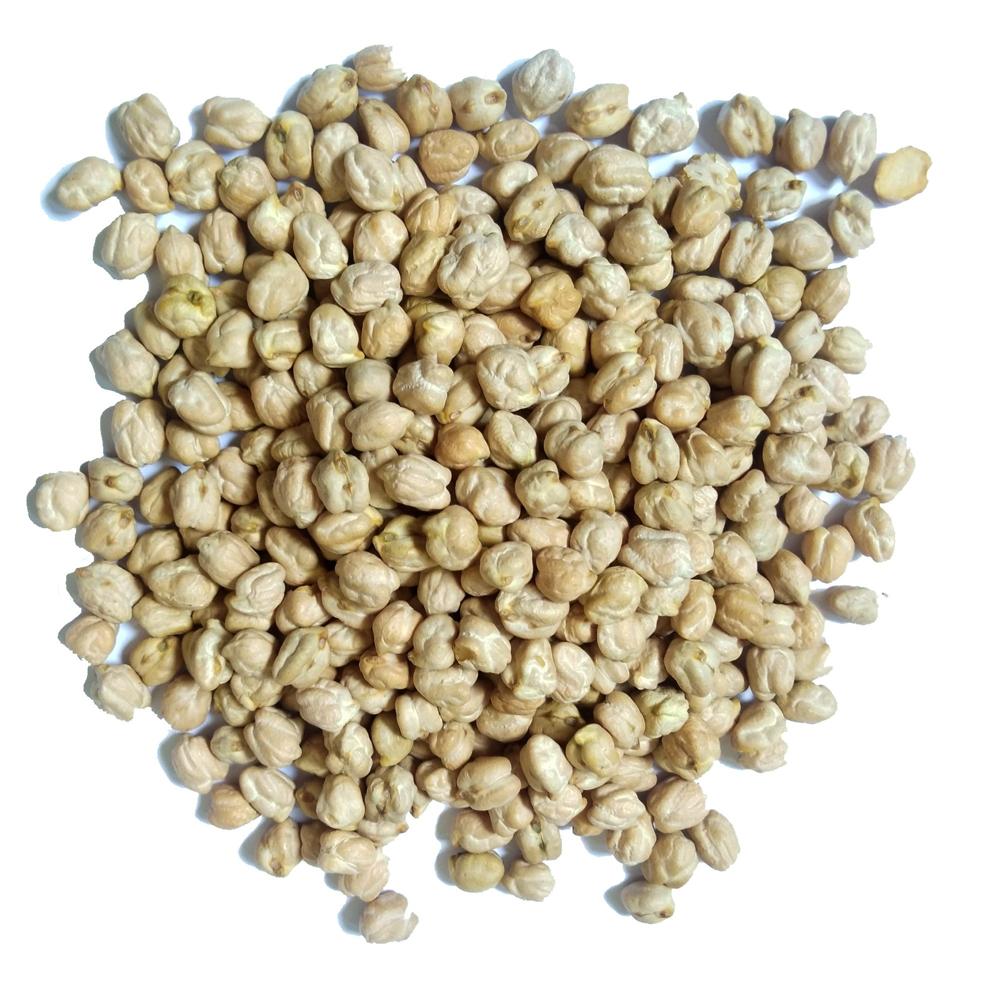 Good Price Factory Supply Nutritious Snack Bulk Chickpeas Dried Raw Chickpea Beans
