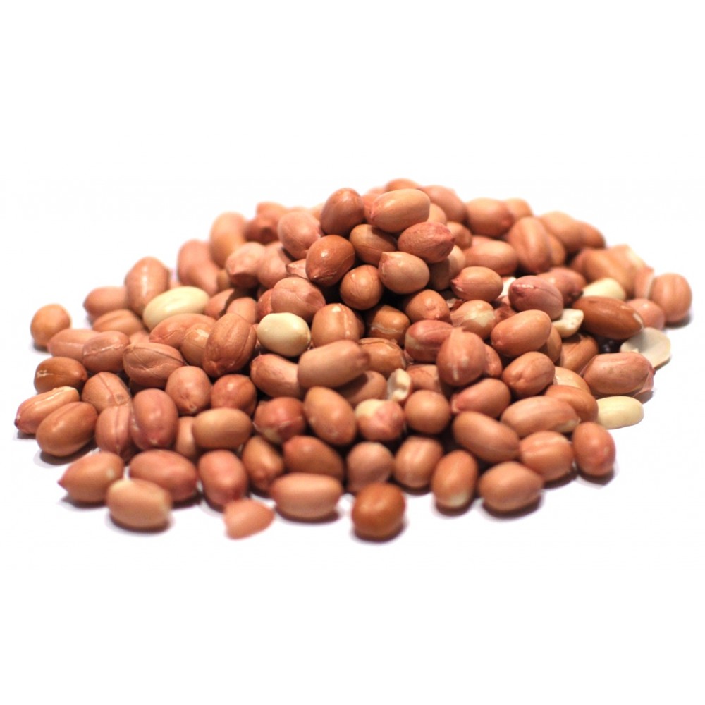 100% Natural Organic Shelled Highest Quality Bulk Raw Peanuts Dried Style
