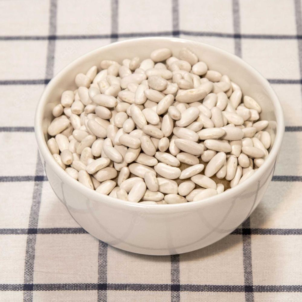 White Kidney Beans Large Size Red Beans Common Cultivation Type Exported Worldwide Kidney Beans