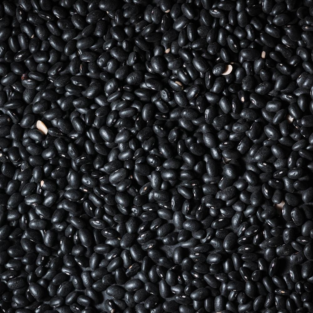 Black Beans Dark Beans Organic Fresh High Quality Clean Vegan Whosale Price in Bulk 