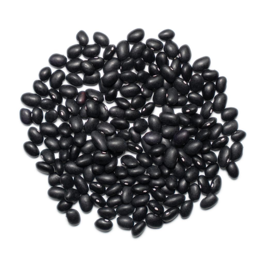 Wholesale and Retail High-quality Black Beans With High Quality and Good Price