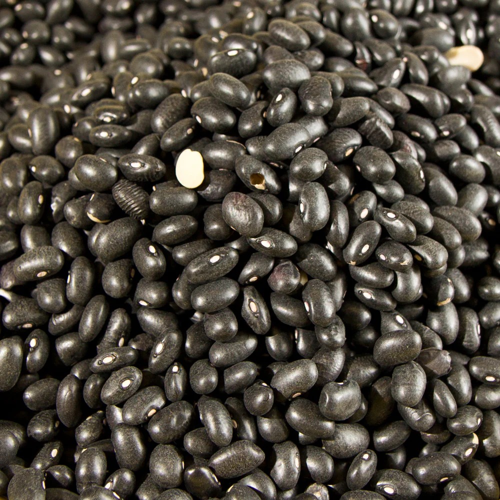 Wholesale and Retail High-quality Black Beans With High Quality and Good Price