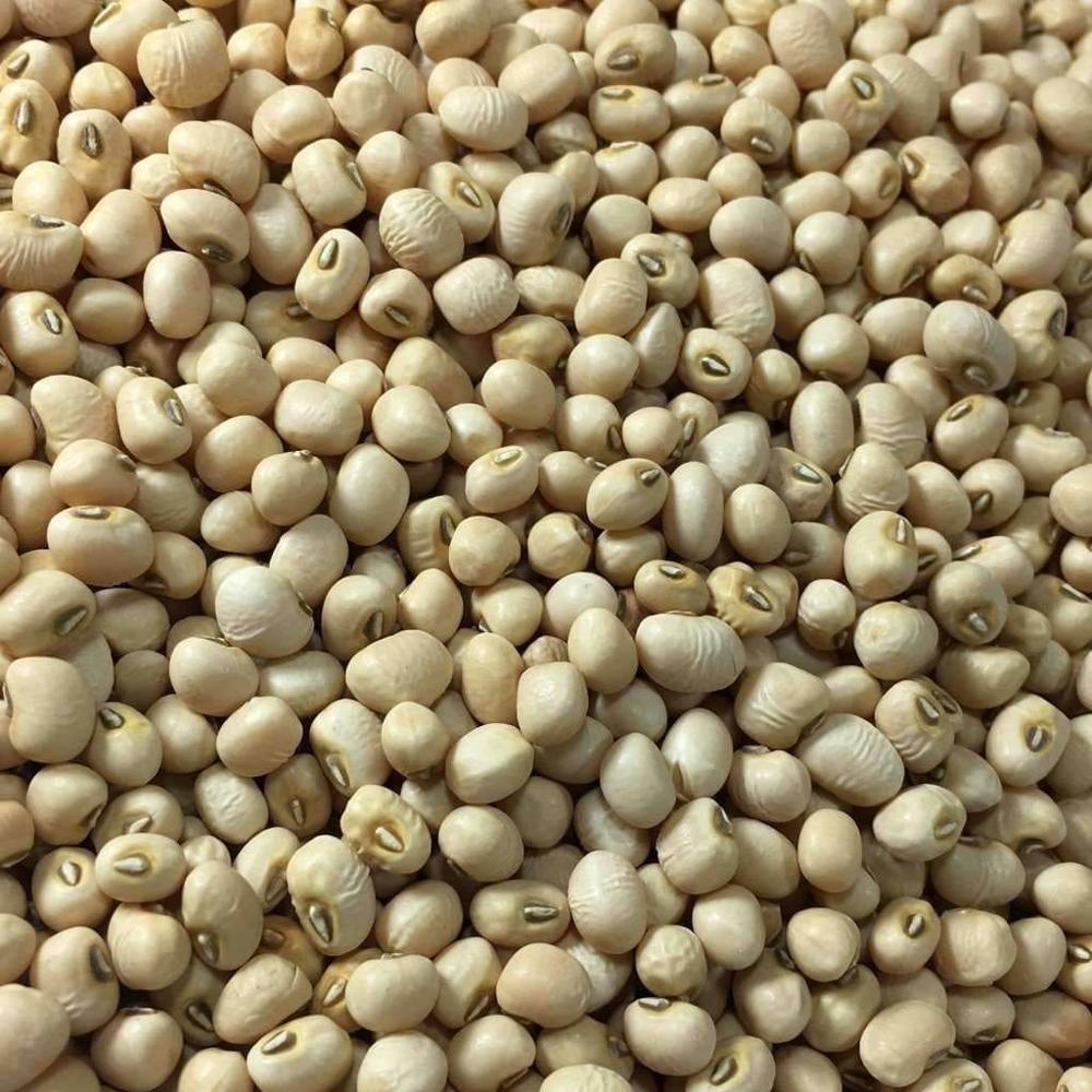 High quality Non-gmo Natural Dry Black eye Beans Product Bulk Black eye Kidney Bean for food