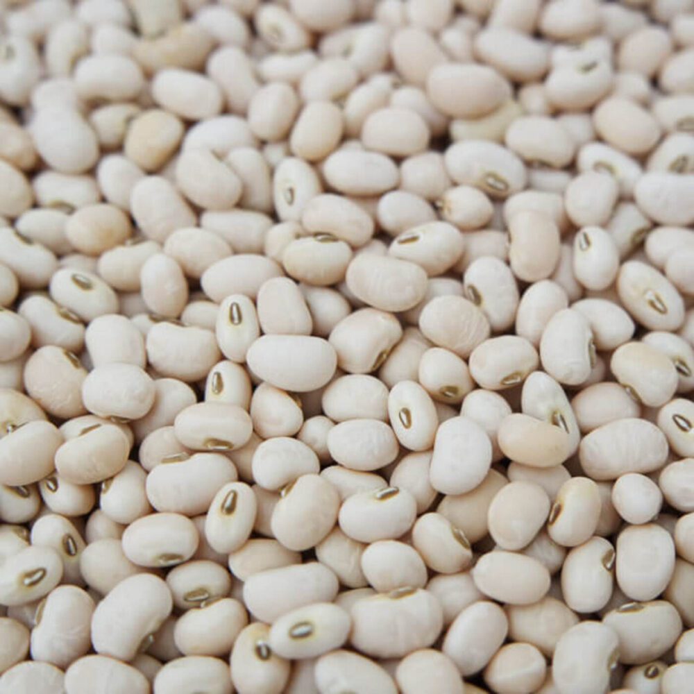 Vigna Beans High Quality Black Eye Beans and Kid-ney Beans Available Fresh in Bulk