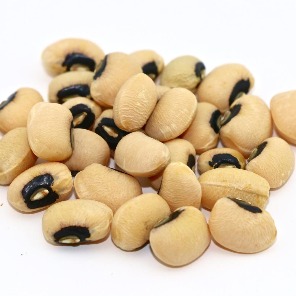 Vigna Beans High Quality Black Eye Beans and Kidney Beans Available Fresh in Bulk 