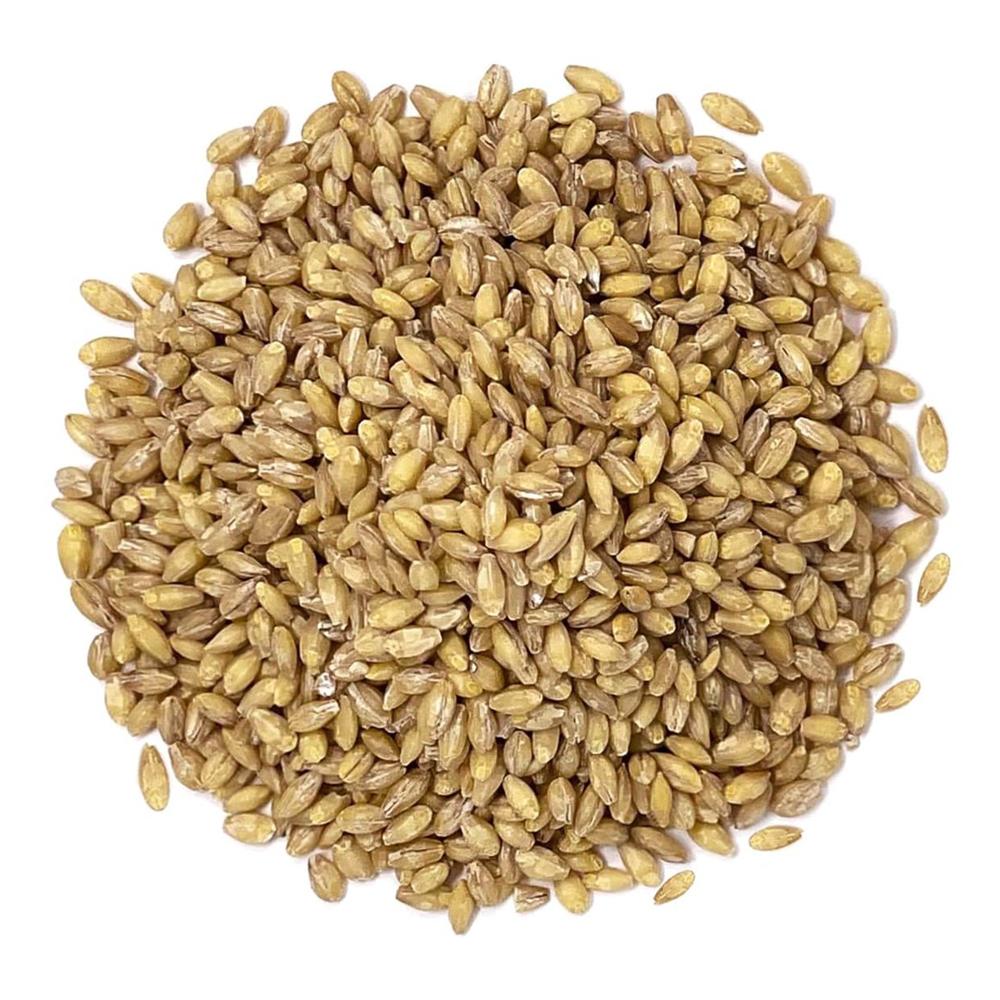 Wholesale Good Price Bulk Barley Grain Agricultural Product New Crop Direct Supply Organic Whole Barley Seeds