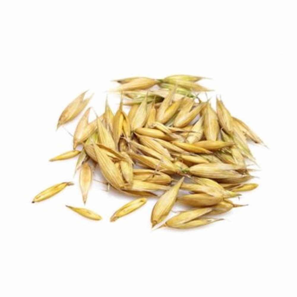 Wholesale Good Price Bulk Barley Grain Agricultural Product New Crop Direct Supply Organic Whole Barley Seeds