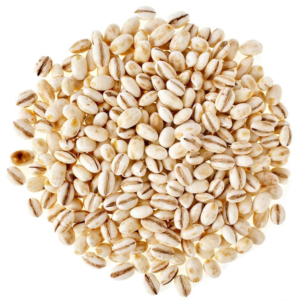 100% Organic Farm Fresh Barley Best Competitive Range Product - Admixture (%): 0.5