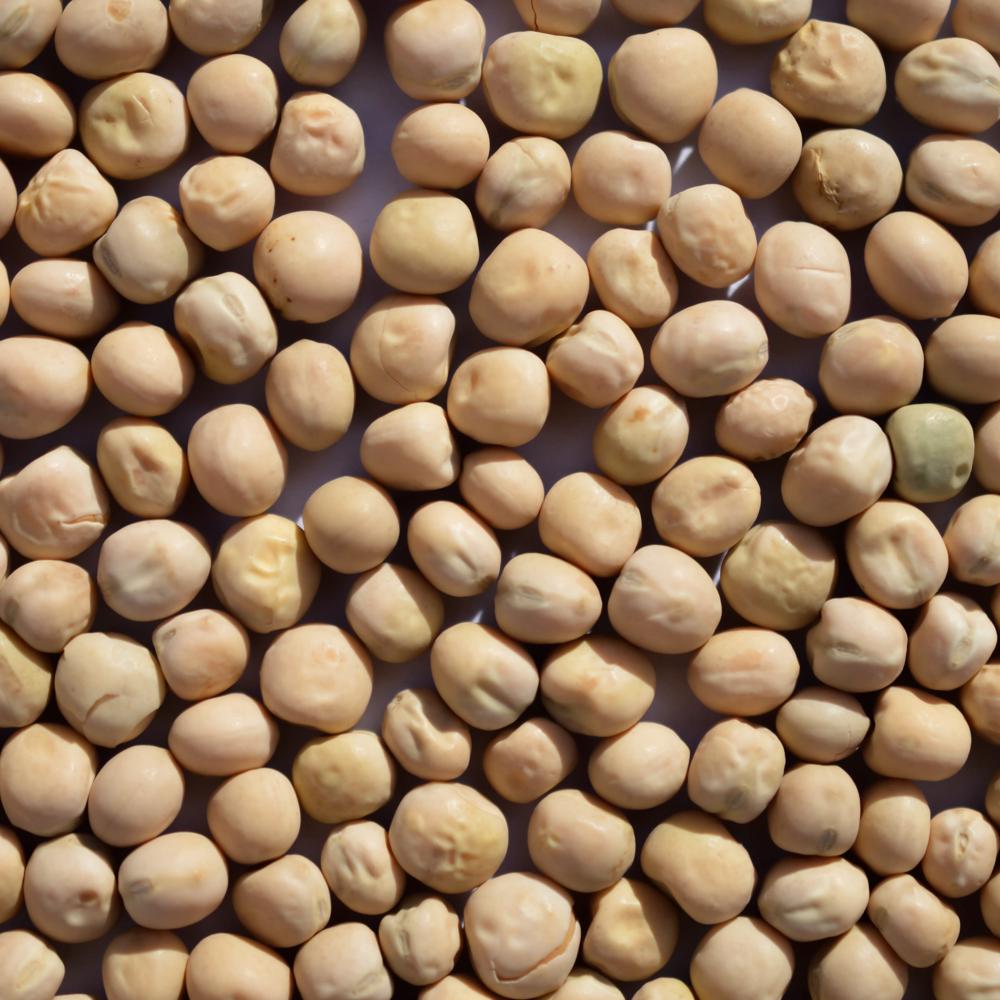 Cheap Price Best Quality Fresh Yellow Whole Kernel Peas in 10 kg Bag Non GMO Product for Human Consumption
