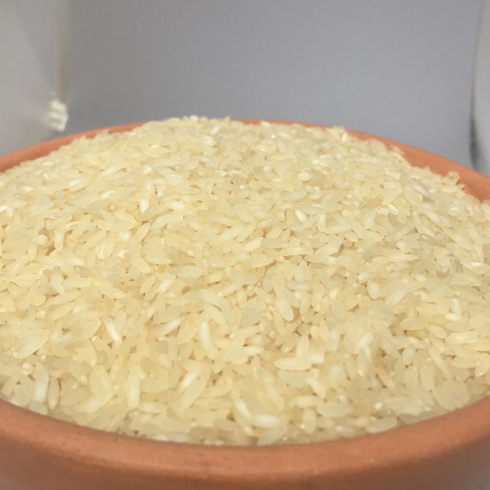 High Quality Long Grain White Rice Non Fragrant | Bulk Supply