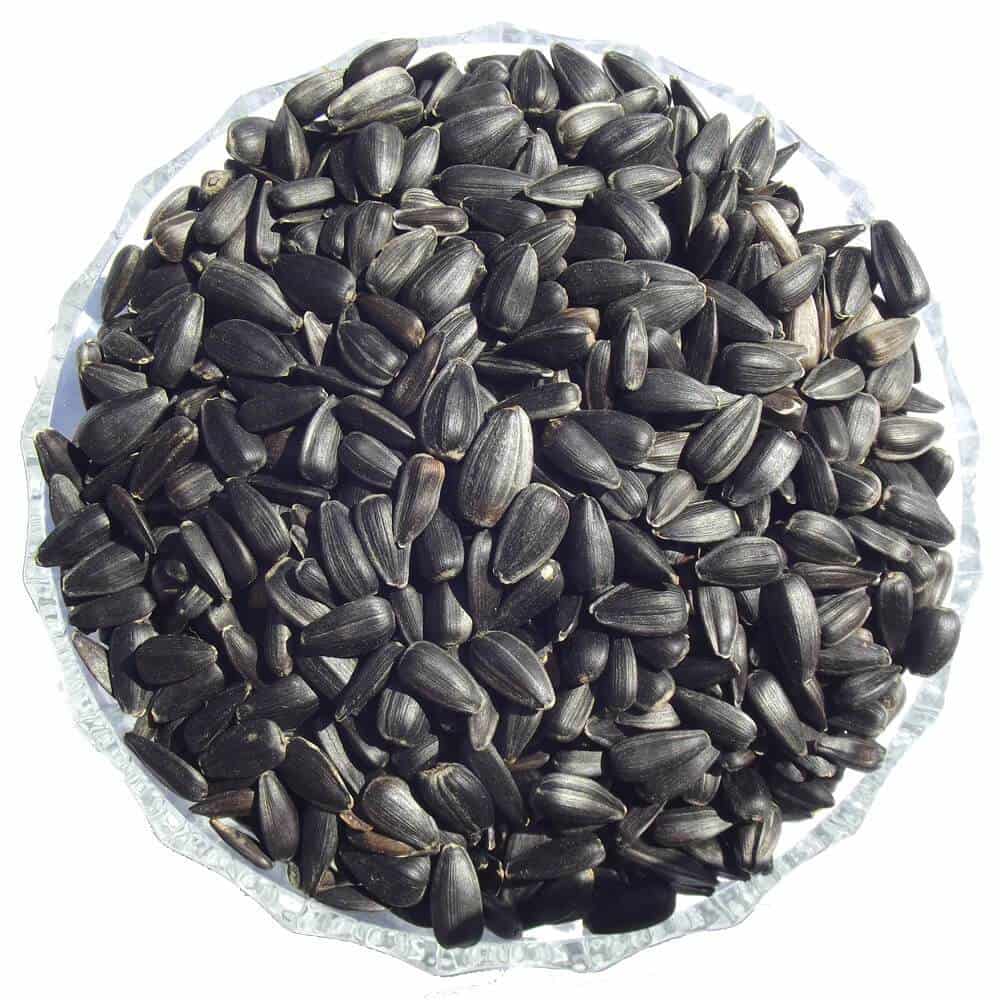 High Quality Organic Sunflower Seeds Original Bulk Sale Fast Delivery Best Quality Sunflower Kernel Wholesale Stock