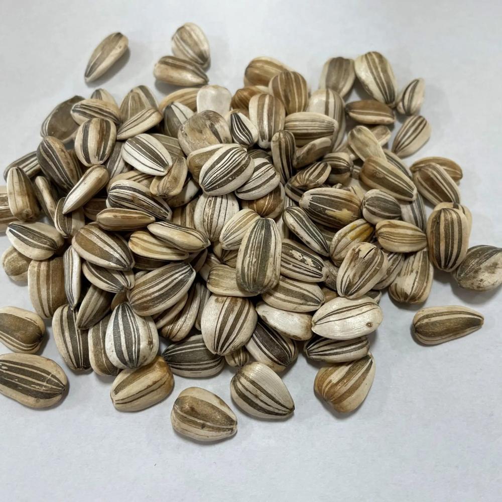 High Quality Organic Sunflower Seeds Original Bulk Sale Fast Delivery Best Quality Sunflower Kernel Wholesale Stock