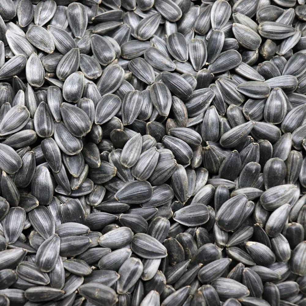Quality 363 Sunflower Seeds Sunflower Seed Supplier Fresh Sunflower Seeds Customizable Size