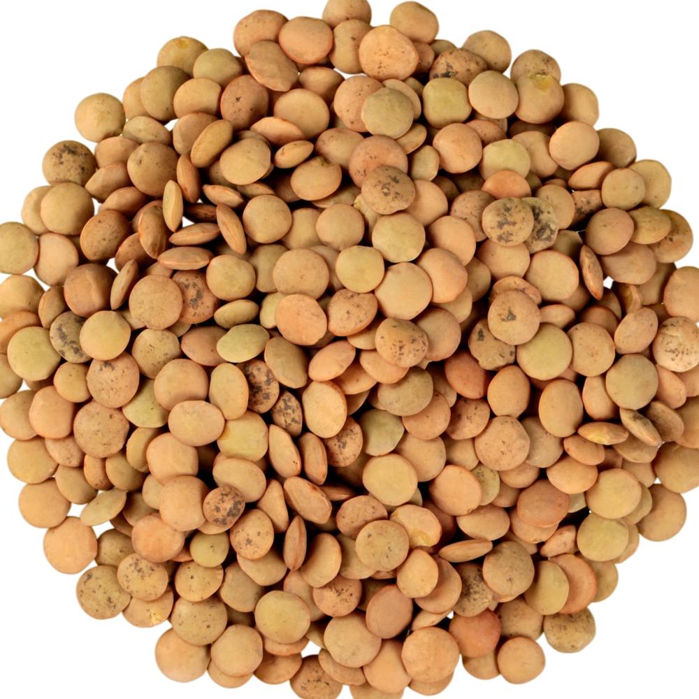 High Quality Green Lentils Red Lentils Brown Lentils At Wholesale Price - Admixture (%): 0.5