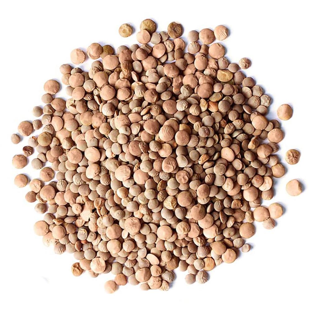 High Quality Green Lentils Red Lentils Brown Lentils at Wholesale Price