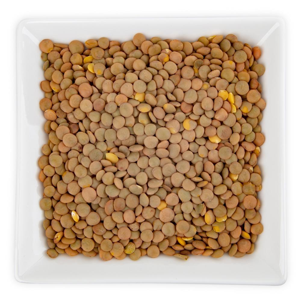 Premium Quality Organic Brown Lentils Whole Masoor Dal