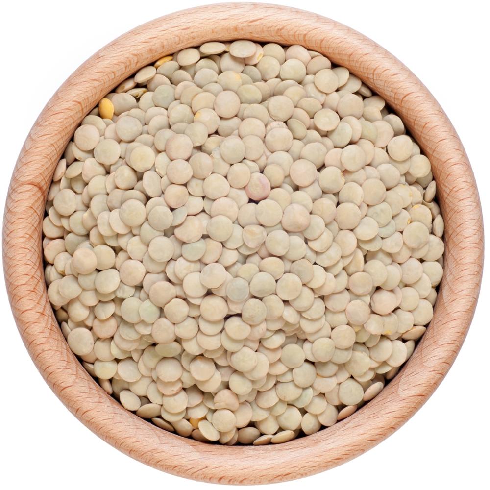 Premium Quality Organic Brown Lentils Whole Masoor Dal