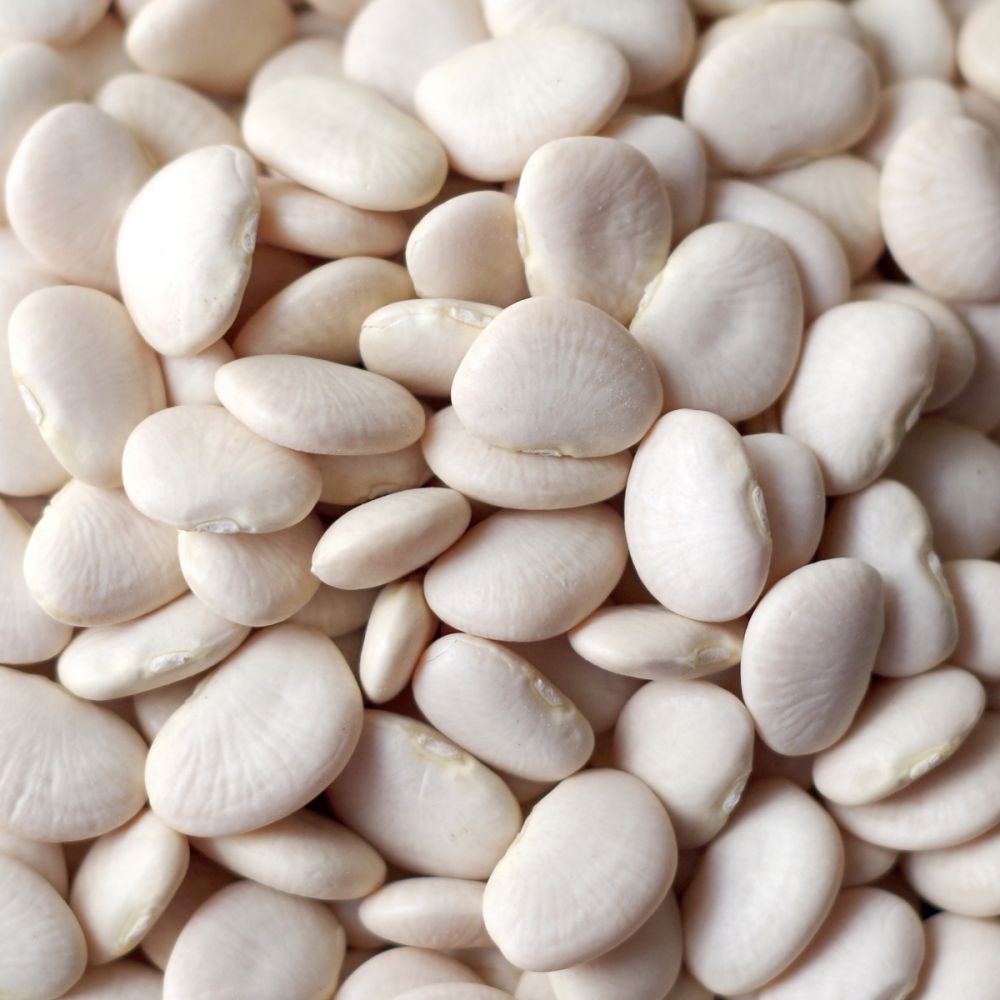 New Good Quality Healthy Non-GMO Bulk Wholesale Lima Beans White Dried Lima Bean