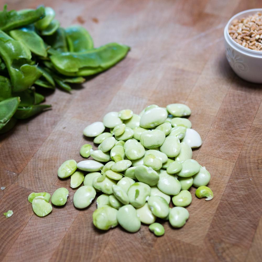 Best Selling Large White Lima Beans Fully Natural Offered in Bulk for Wholesale Food 