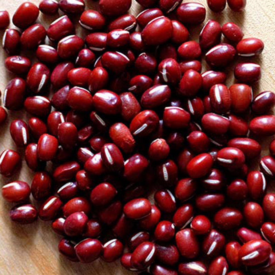 High Quality Wholesale Dried Adzuki Vigna Beans Small Red Kidney Beans 25kg PP Bags at Price
