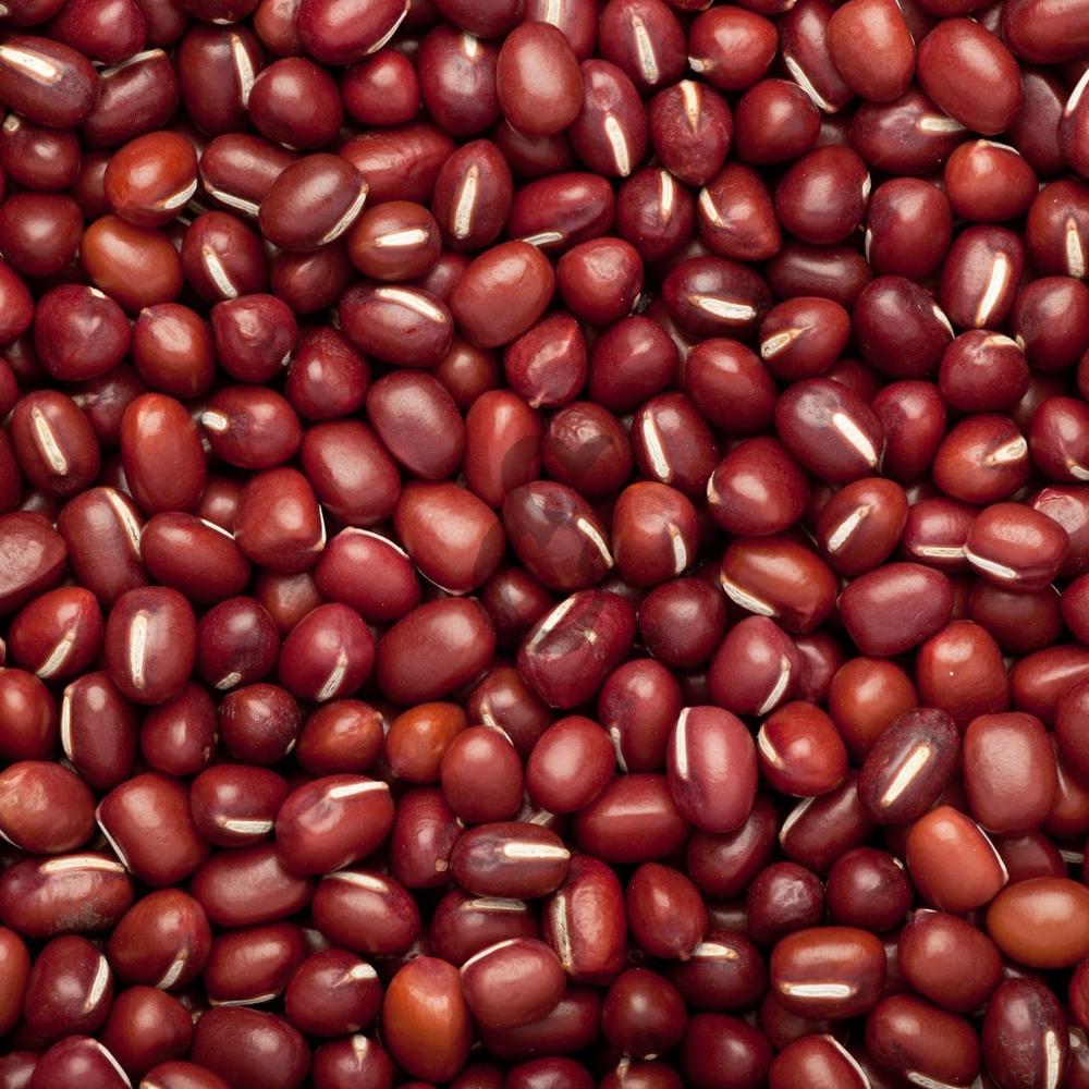 High Quality Wholesale Dried Adzuki Vigna Beans Small Red Kidney Beans 25kg PP Bags at Price