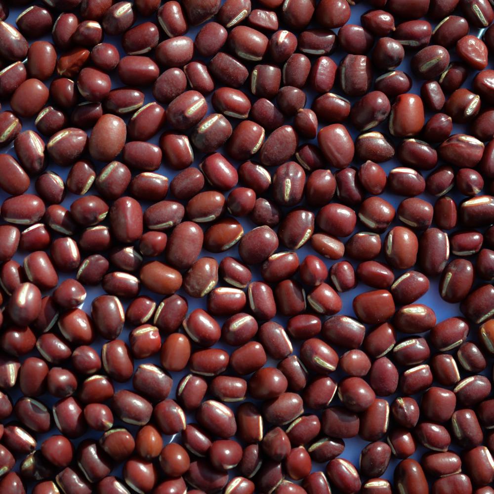 High Quality Wholesale Dried Adzuki Vigna Beans Small Red Kidney Beans 25kg PP Bags at Price