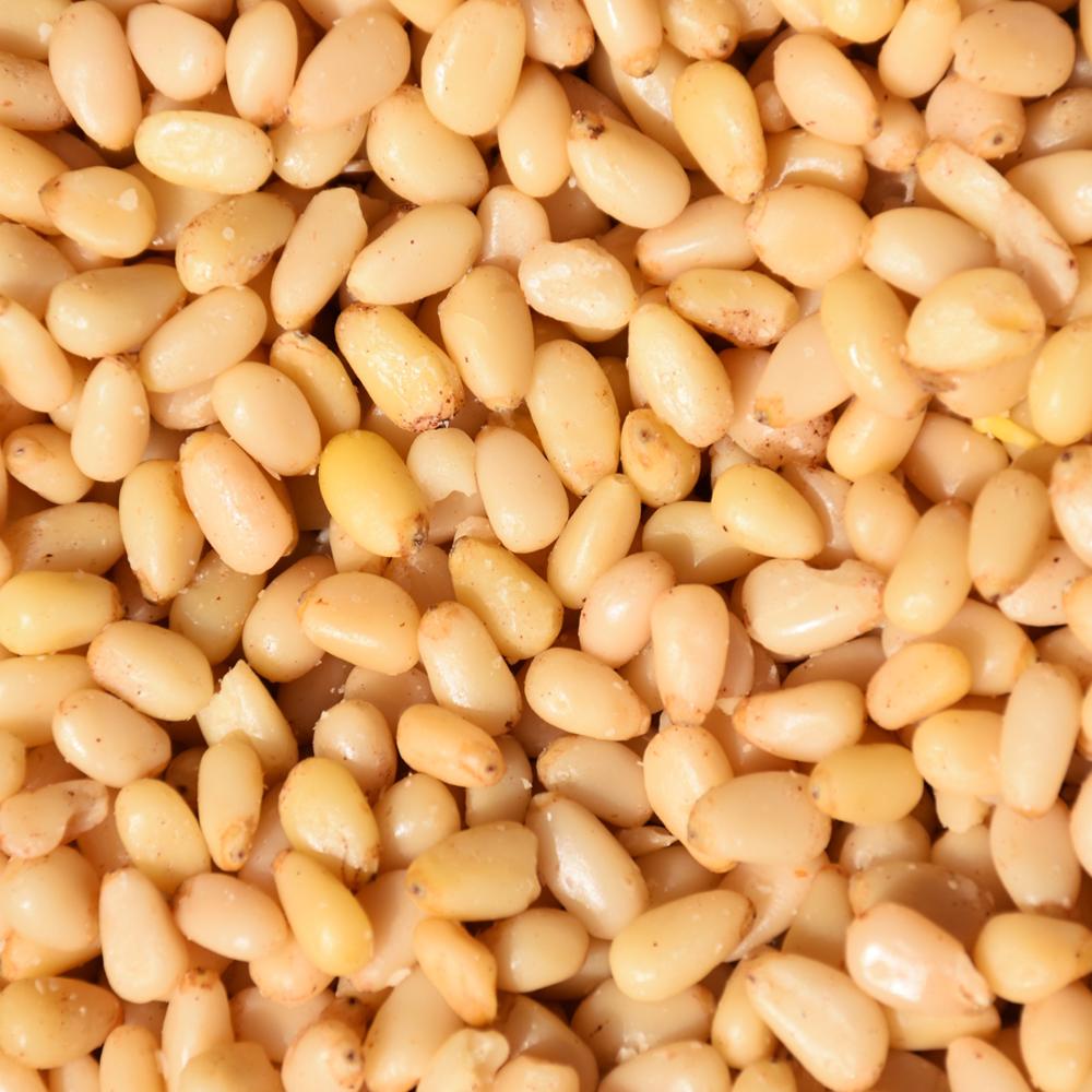 Bulk Quaintly Pine Nuts Affordable Price Wholesale Suppliers / Top Grade Pine Nuts Available