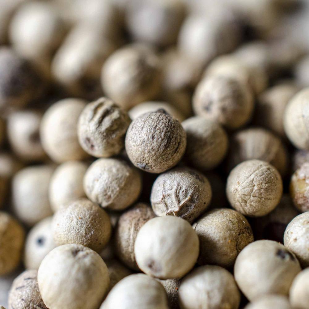 Food Seasoning Natural Spice White Pepper Powder For Cooking & Barbecue - Grade: Premium